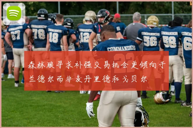 森林狼寻求补强交易机会更倾向于兰德尔而非麦丹里德和戈贝尔